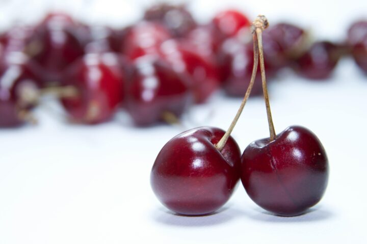 Fully Managed sour cherry plantations
